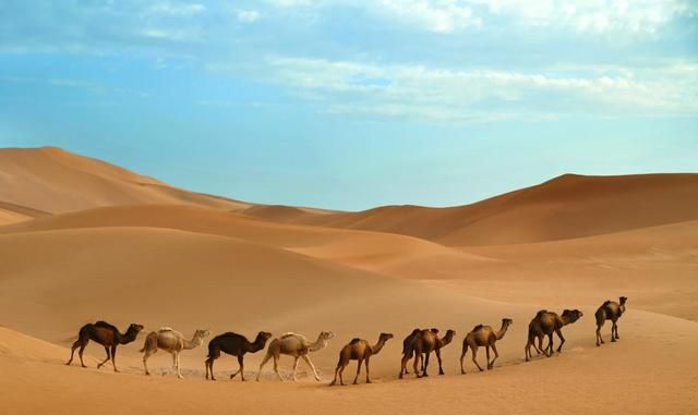 非洲北部摩洛哥王国托德拉大峡谷,非洲北部撒哈拉沙漠