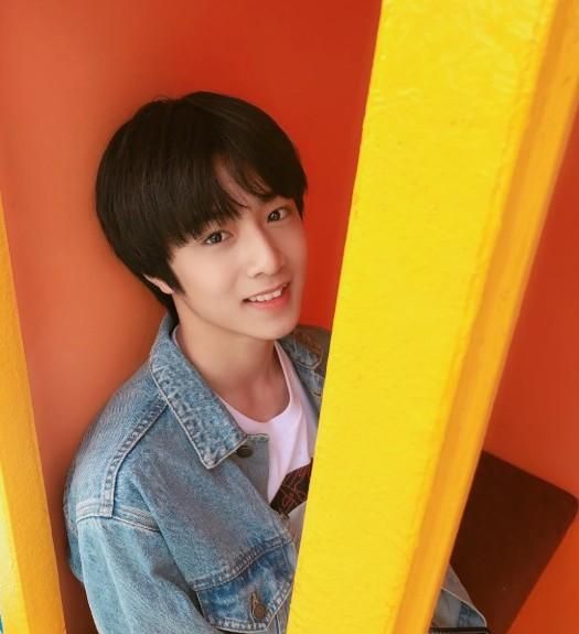 定档,三位军艺校草合体,两大流量艺人也来了|萌探探探案|吴彤|刘耀文