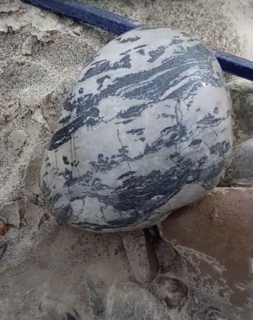 女子在野外捡到一块石头,清洗干净后给专家,鉴定后女子脸色大变