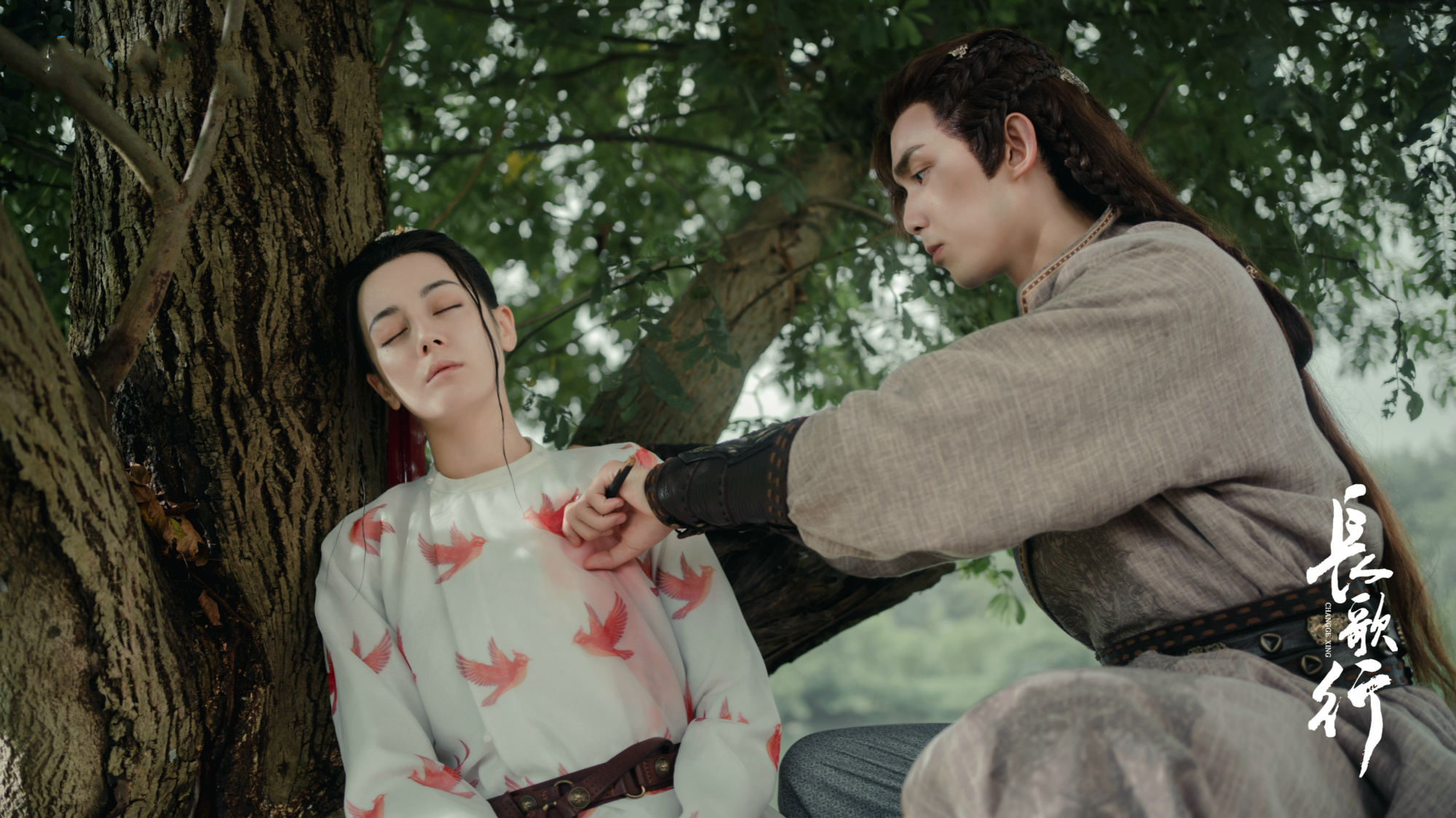 《长歌行》情感关系解析:长歌无心,晧都百搭,魏叔玉活该当男三