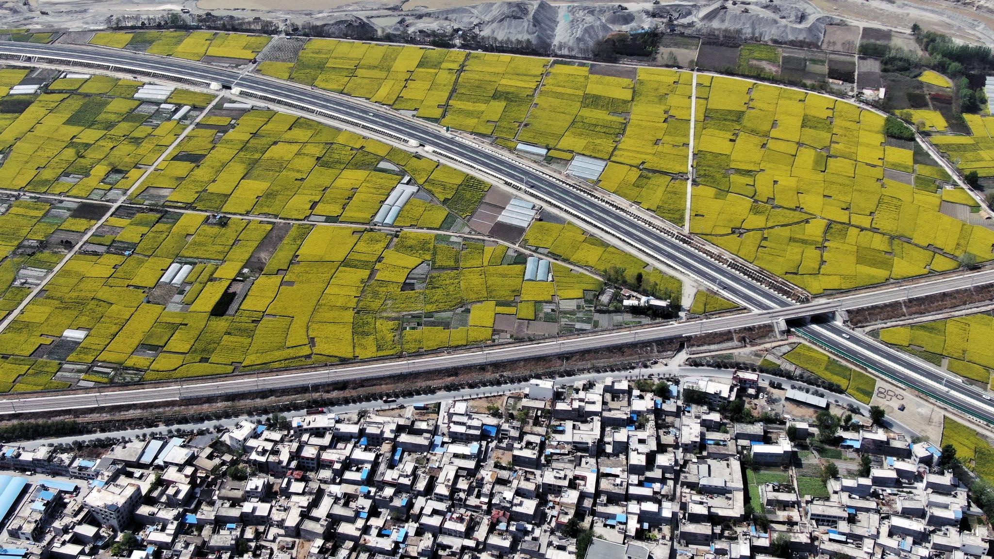 3月29日,甘肃省陇南市武都区角弓镇白龙江畔铁路,高速路,村庄和盛开的