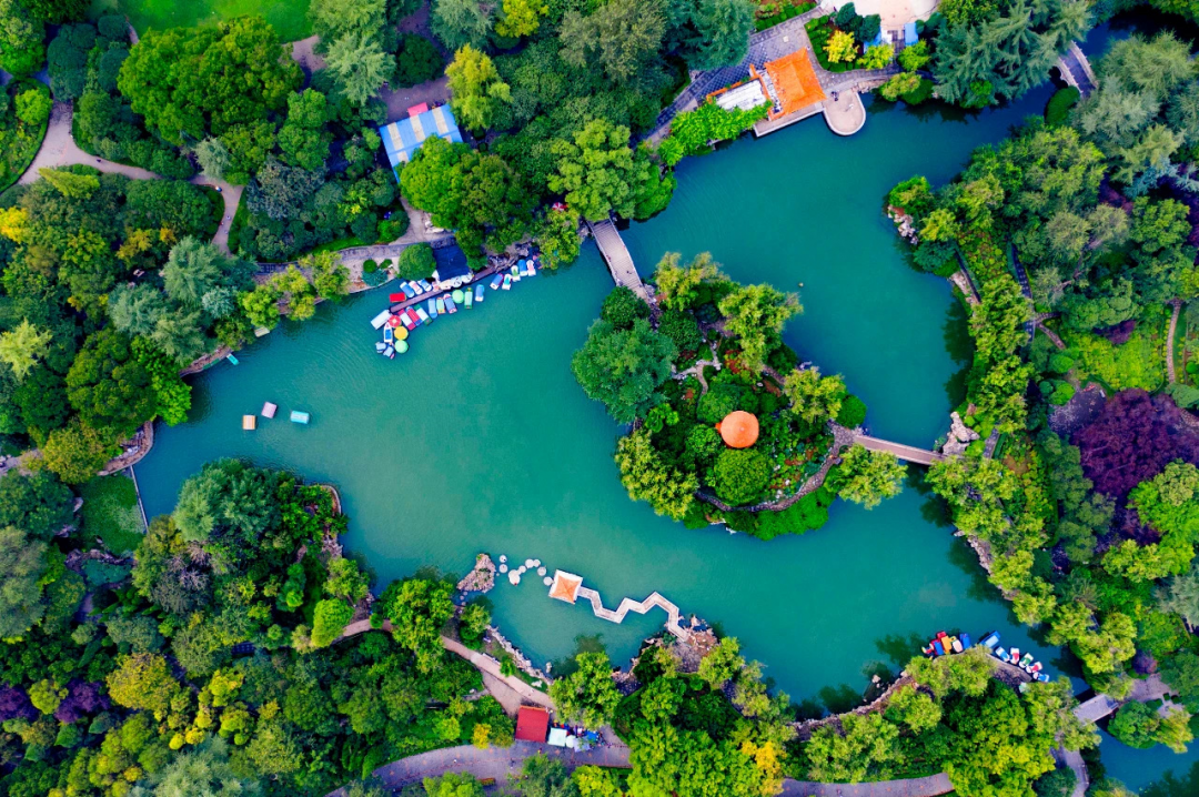 依次开始蔓延绿色从公园,到洛阳的大街小巷春风吹开严冬的冰封,万物