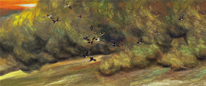 为在绘本喜鹊窝中呈现沙尘暴他连厨房的钢丝球都用上了