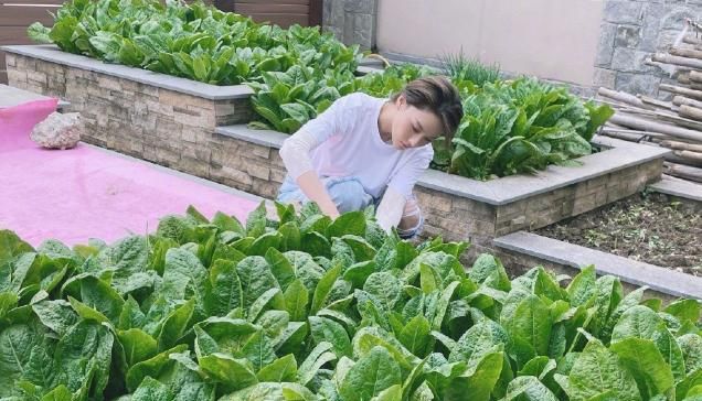 张馨予晒自拍很吸睛自家大花园种满蔬菜馨予亲自摘菜做营养餐