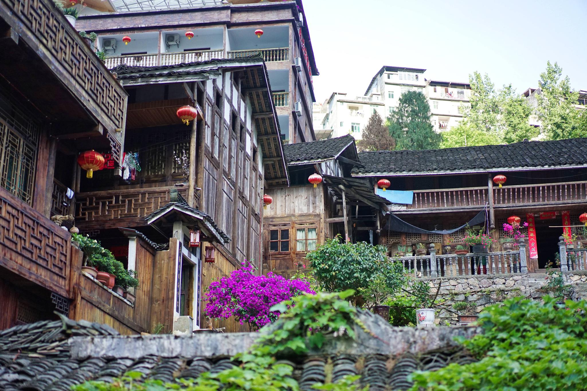 重庆老奶奶气质优雅,开了家开满鲜花的客栈,游客来了不愿走|龚滩古镇