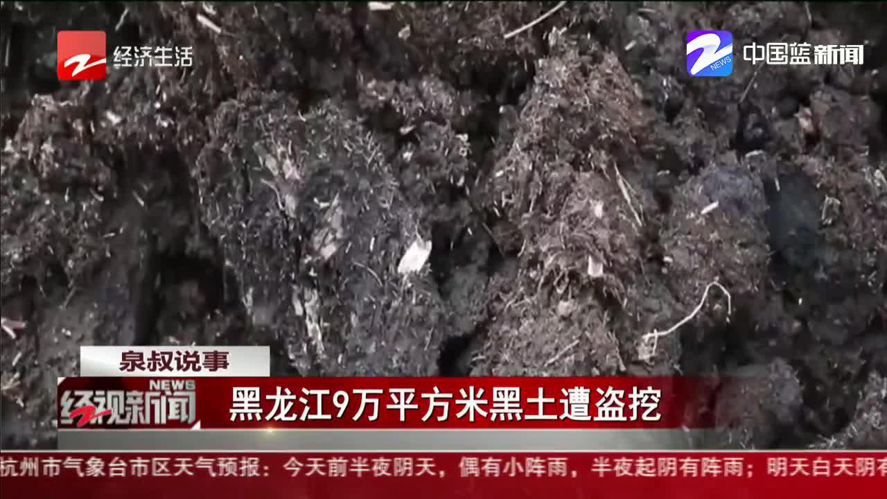 黑龙江9万平方米黑土遭盗挖