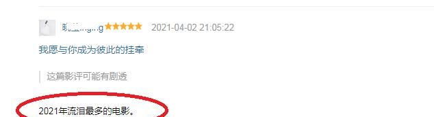 2021年流泪最多的电影?首日票房坚挺,《我的姐姐》评分7.6休闲区蓝鸢梦想 - Www.slyday.coM