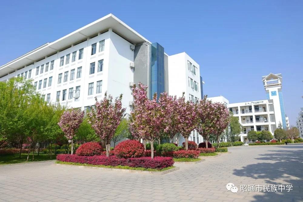 年年拟将好景待君归春民中最美四月天