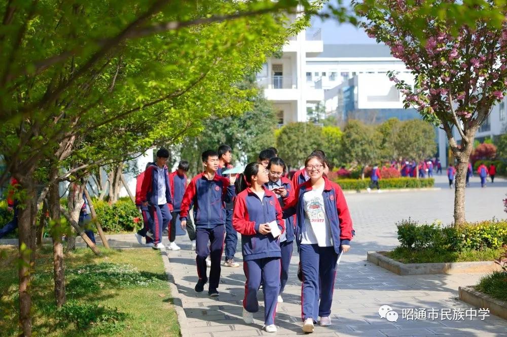 年年拟将好景待君归春民中最美四月天