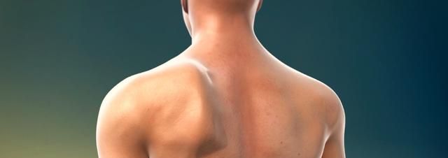 熊爬动作带你减脂,增强身体协调性稳定,激活我们的肌肉休闲区蓝鸢梦想 - Www.slyday.coM 熊爬动作带你减脂,增强身体协调性稳定,激活我们的肌肉休闲区蓝鸢梦想 - Www.slyday.coM