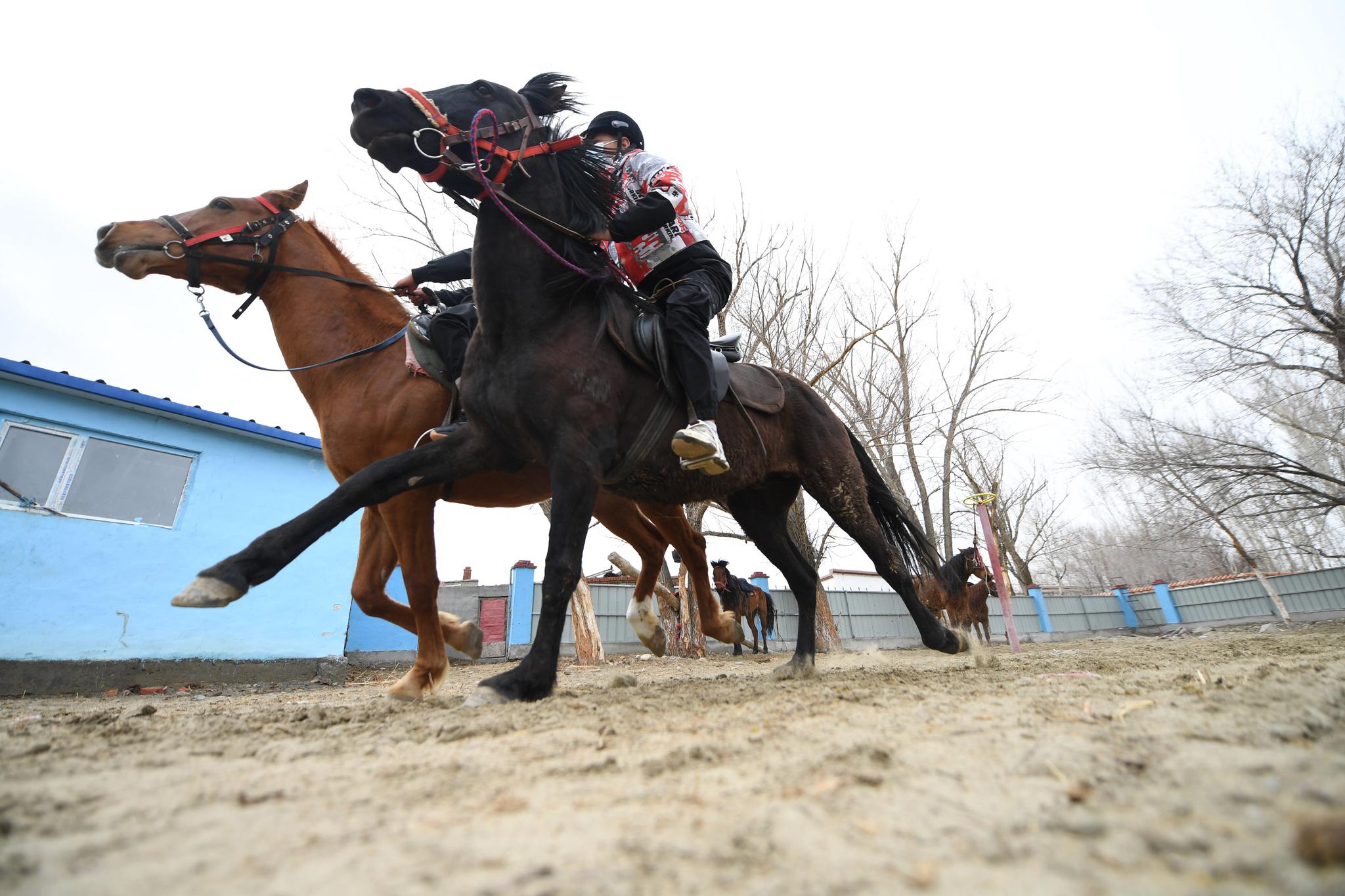 我爱体育课马术进校园骑乐无穷