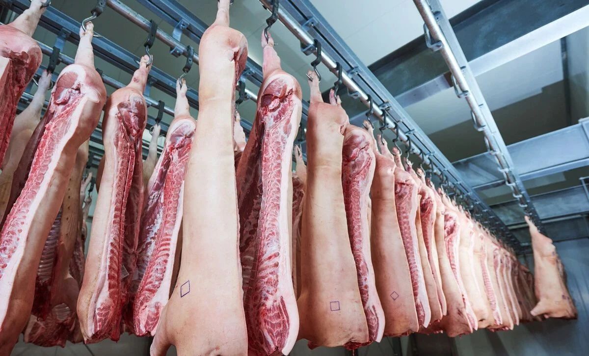 猪价猛跌猪肉仅小幅回调的原因找到了,中间差价竟是被他们赚去了