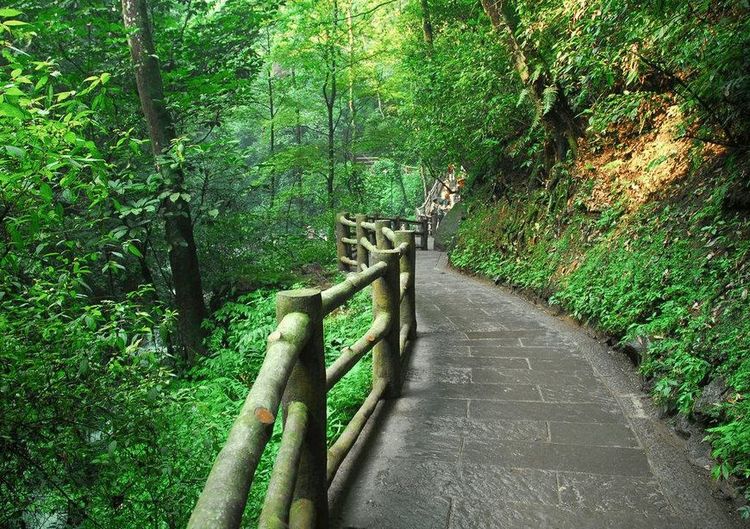 心理学凭直觉选择一条山间小路测测看你后半生幸不幸福