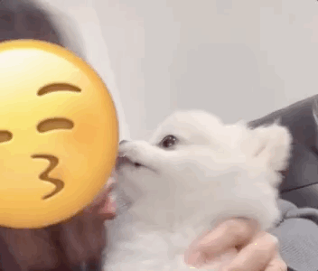 352_300gif 动态图 动图