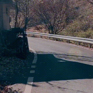 狗狗被主人关在笼里10年，被救后已经无法走路，叼着食物不愿撒嘴休闲区蓝鸢梦想 - Www.slyday.coM