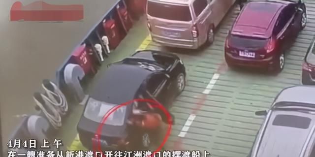 江西九江,22岁女生与家人发生争执,负气跳江,父亲紧跟跳下救人休闲区蓝鸢梦想 - Www.slyday.coM 江西九江,22岁女生与家人发生争执,负气跳江,父亲紧跟跳下救人休闲区蓝鸢梦想 - Www.slyday.coM