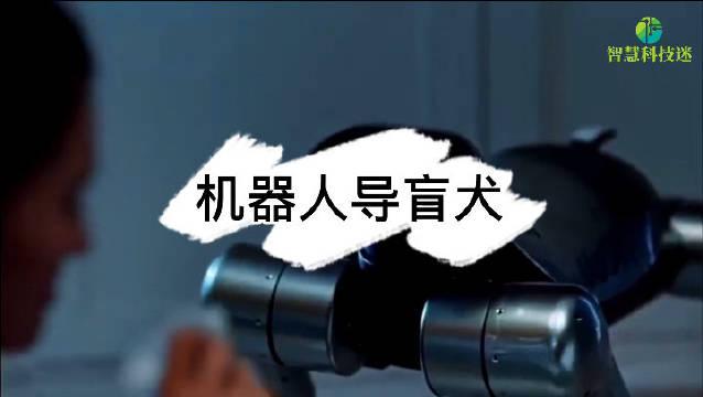 一家创新型机器人公司开发了世界首款机器人导盲犬……