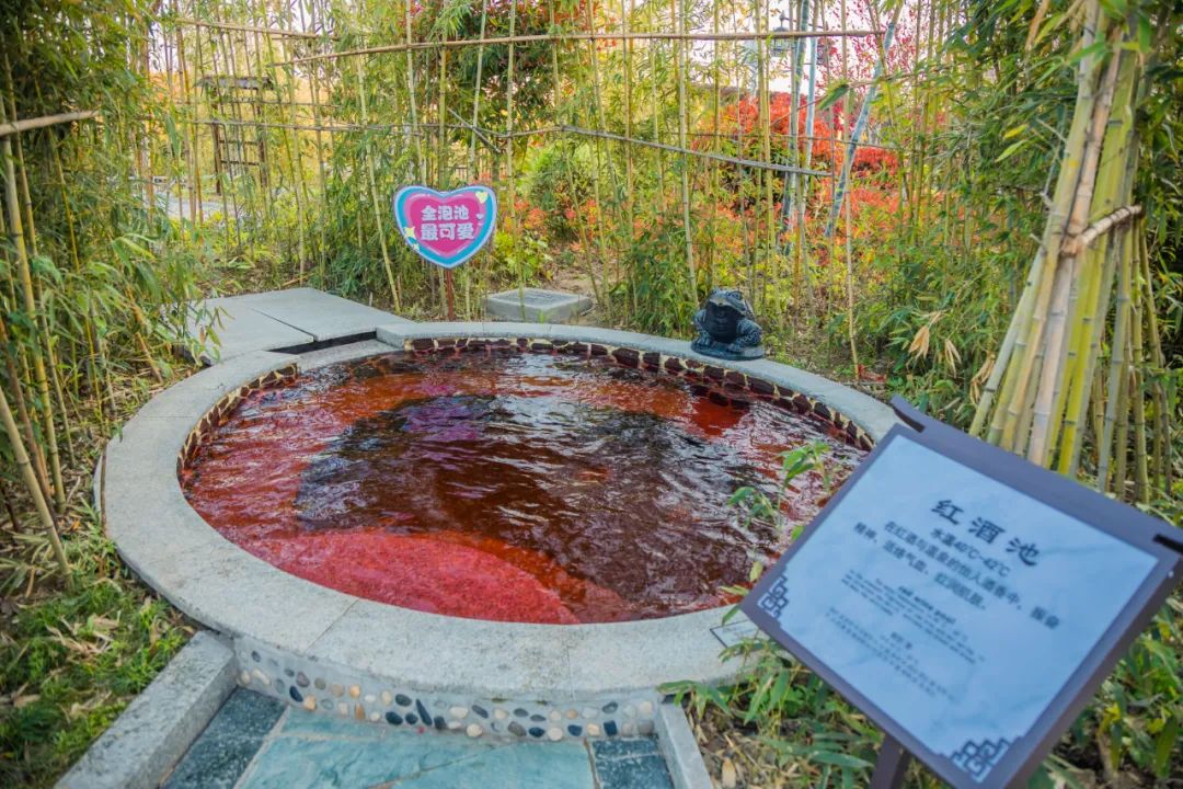 来一波2021春天的鲜花温泉自驾游吧!坐标阜南县田集镇