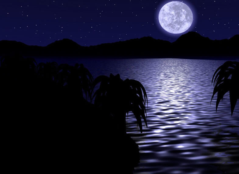 秋江月夜图片图片