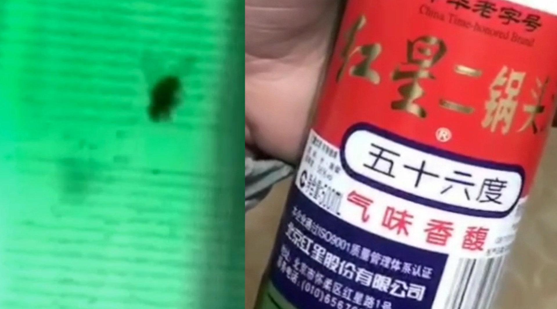 网友买来红星二锅头发现酒里泡了只苍蝇 公司回应:假冒伪劣产品