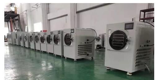 隆重推出智能小型家用冻干机
