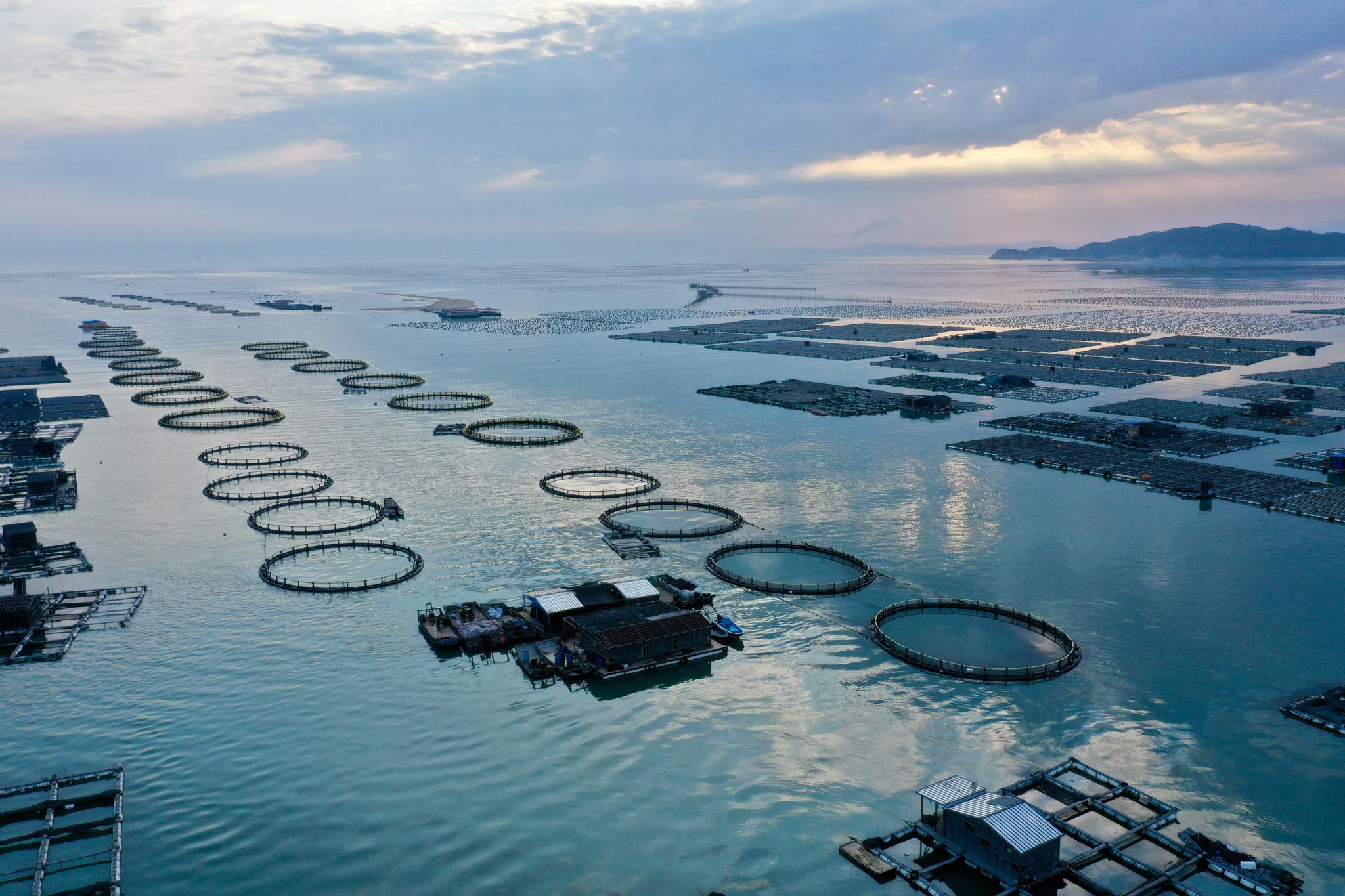 创新发展之农业现代化之路