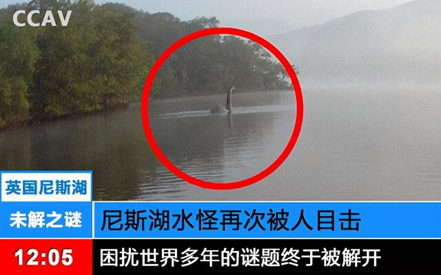 尼斯湖水怪之谜水落石出科学家最新爆料可能是一种未知的龟类