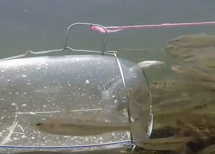 小伙自制捕鱼神器遭路人嘲笑结果却让人意外