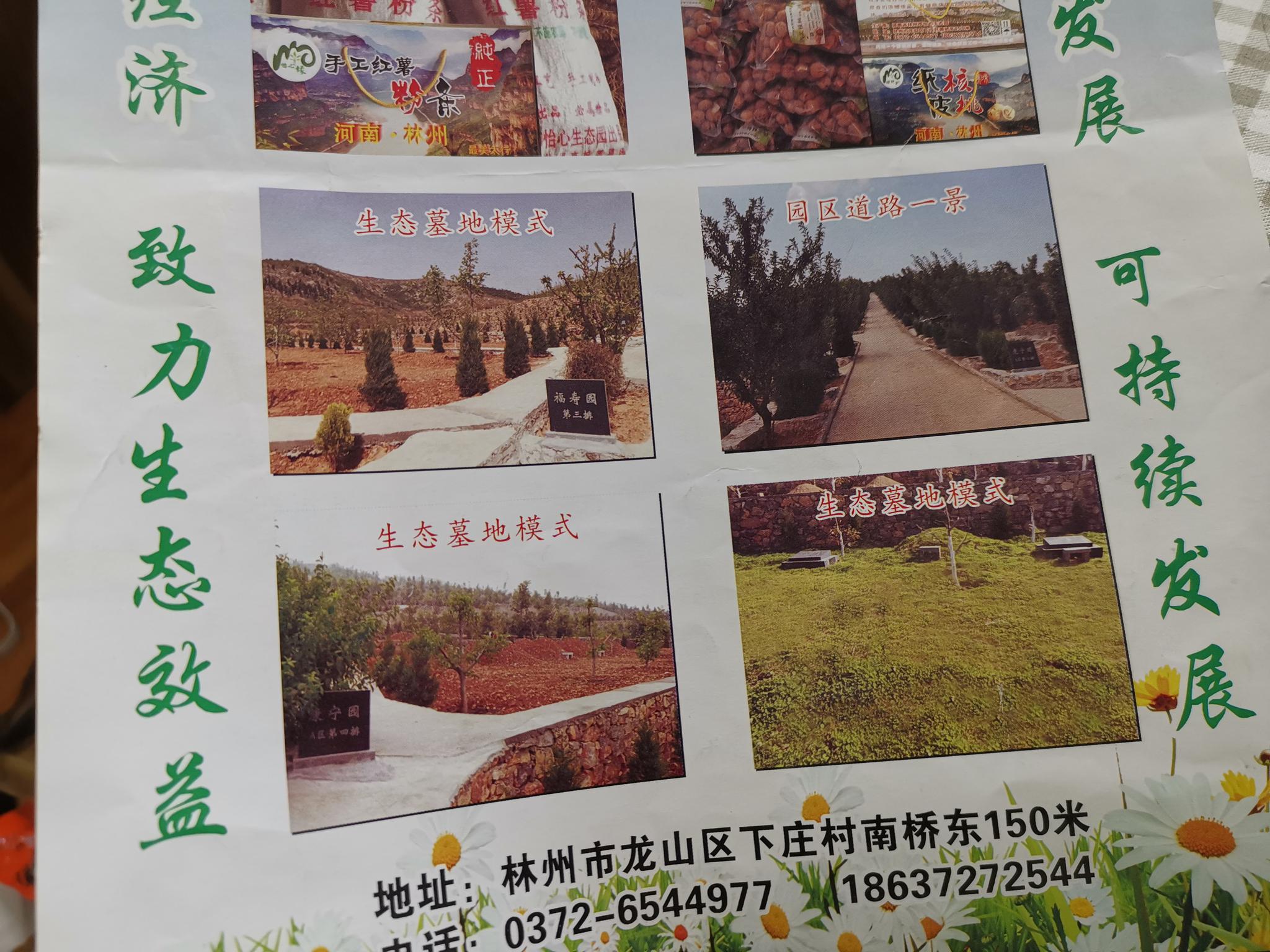 林州市怡心生态园的宣传页显示,园区内售卖公墓。新京报记者⠧苤 摄