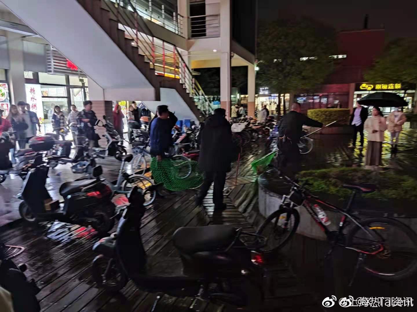 网友爆料,@上海海事大学 保安当着学生面打死校园流浪狗……|流浪狗|上海海事大学_新浪新闻