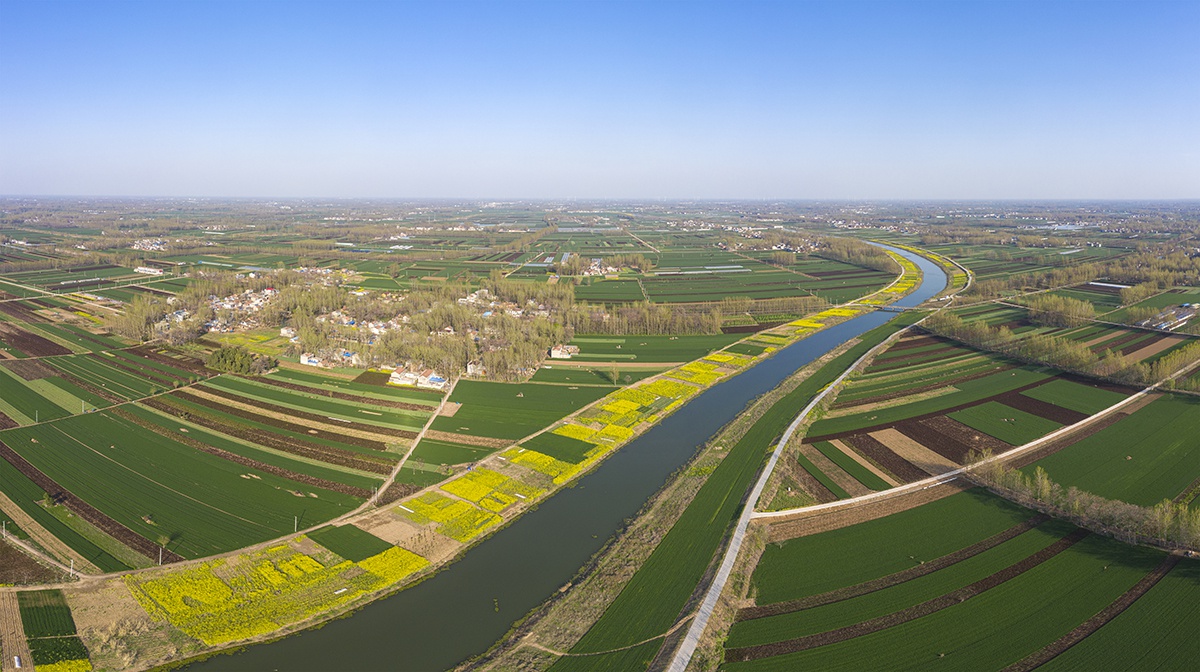 包河两岸的油菜花开了,从空中俯视美不胜收