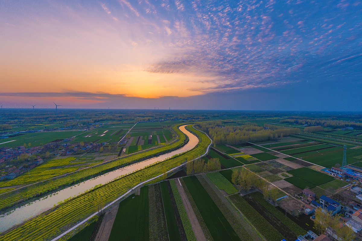 包河两岸的油菜花开了,从空中俯视美不胜收