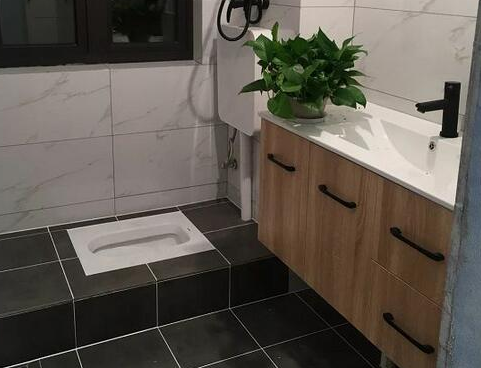 卫生间装马桶好还是蹲坑好闺蜜当初不听劝现在后悔也晚了