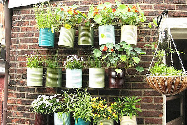 没用的油桶茶杯先别扔拿点油漆一抹立马变成小花盆美上天了