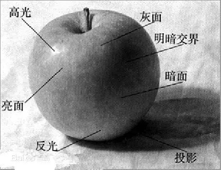 速写|素描|物体_新浪新闻