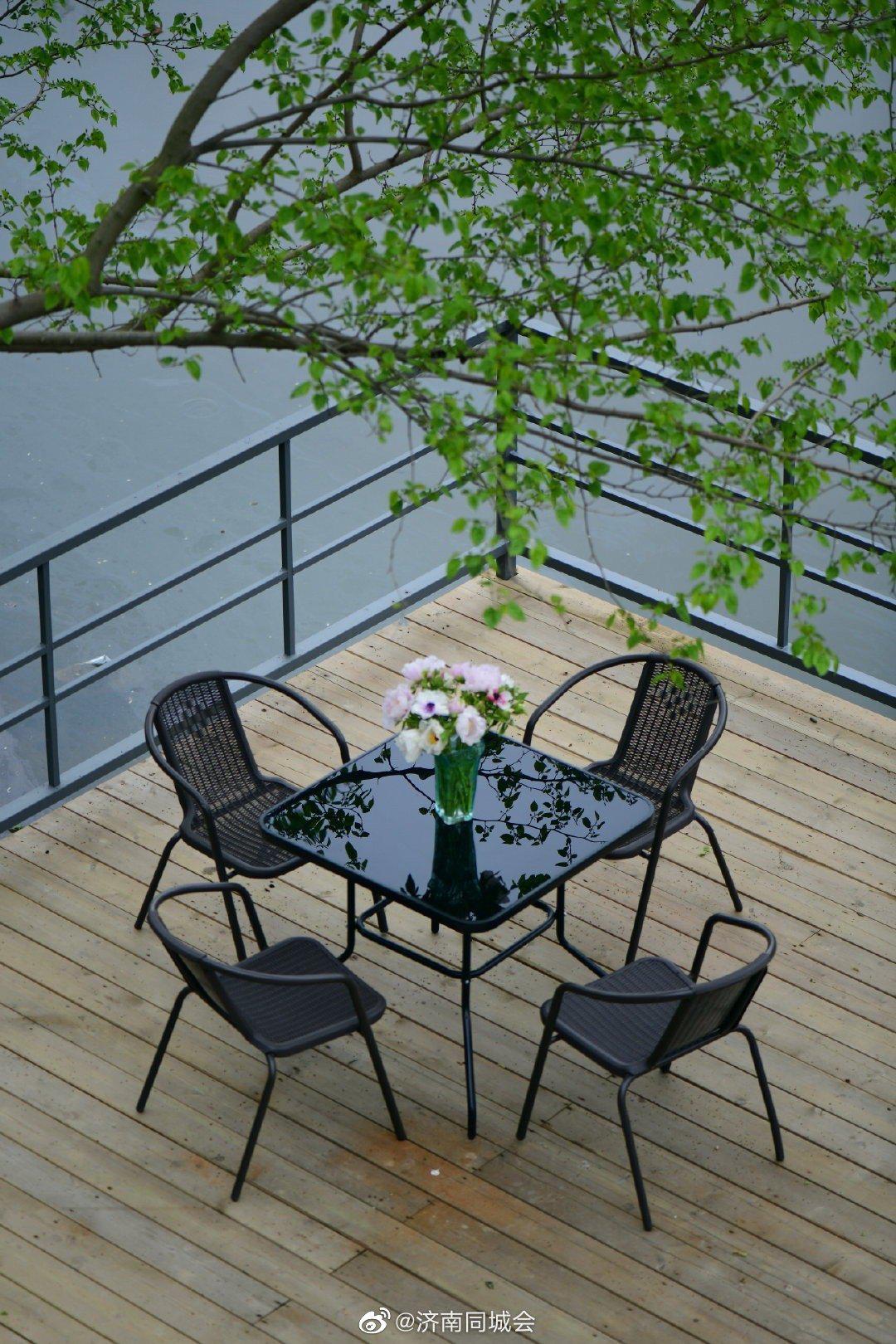 牡丹插花河边的木台子桑树变绿了油牡丹插花