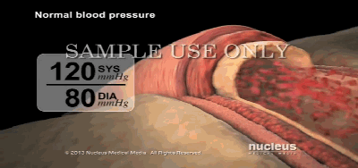 血压|高血压|降压药_新浪新闻