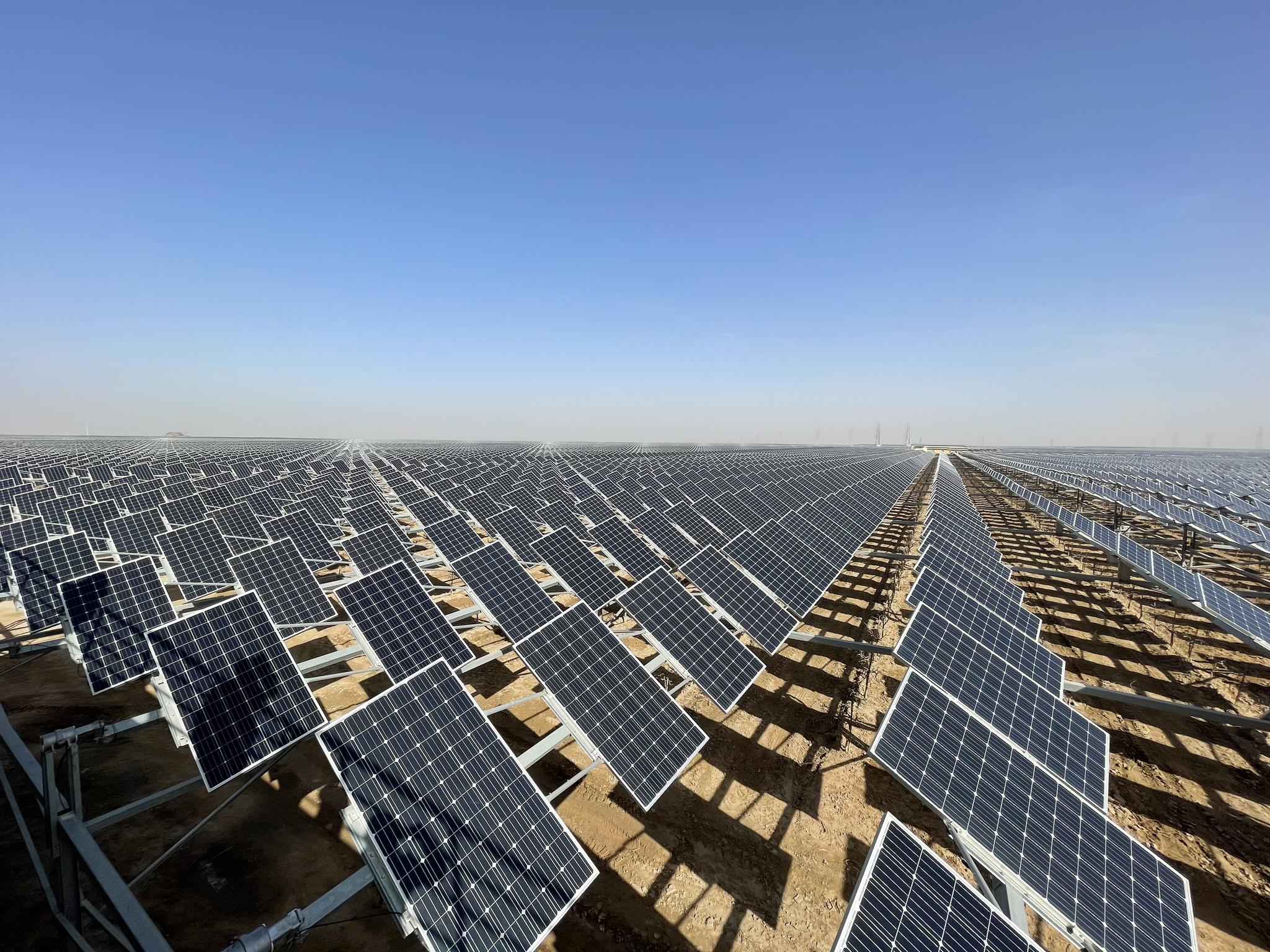 优质有机枸杞,同时综合利用土地资源,在枸杞树上方建设太阳能发电项目