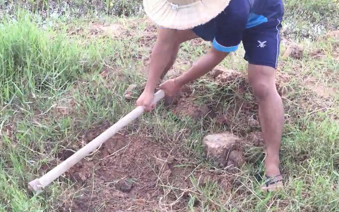 男子在岸边挖坑做陷阱路人当他傻隔天邻居见到男子直了眼