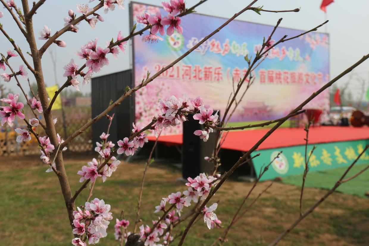 相约赤支桃花源,品味浪漫新生活赤支首届桃花旅游文化节开幕