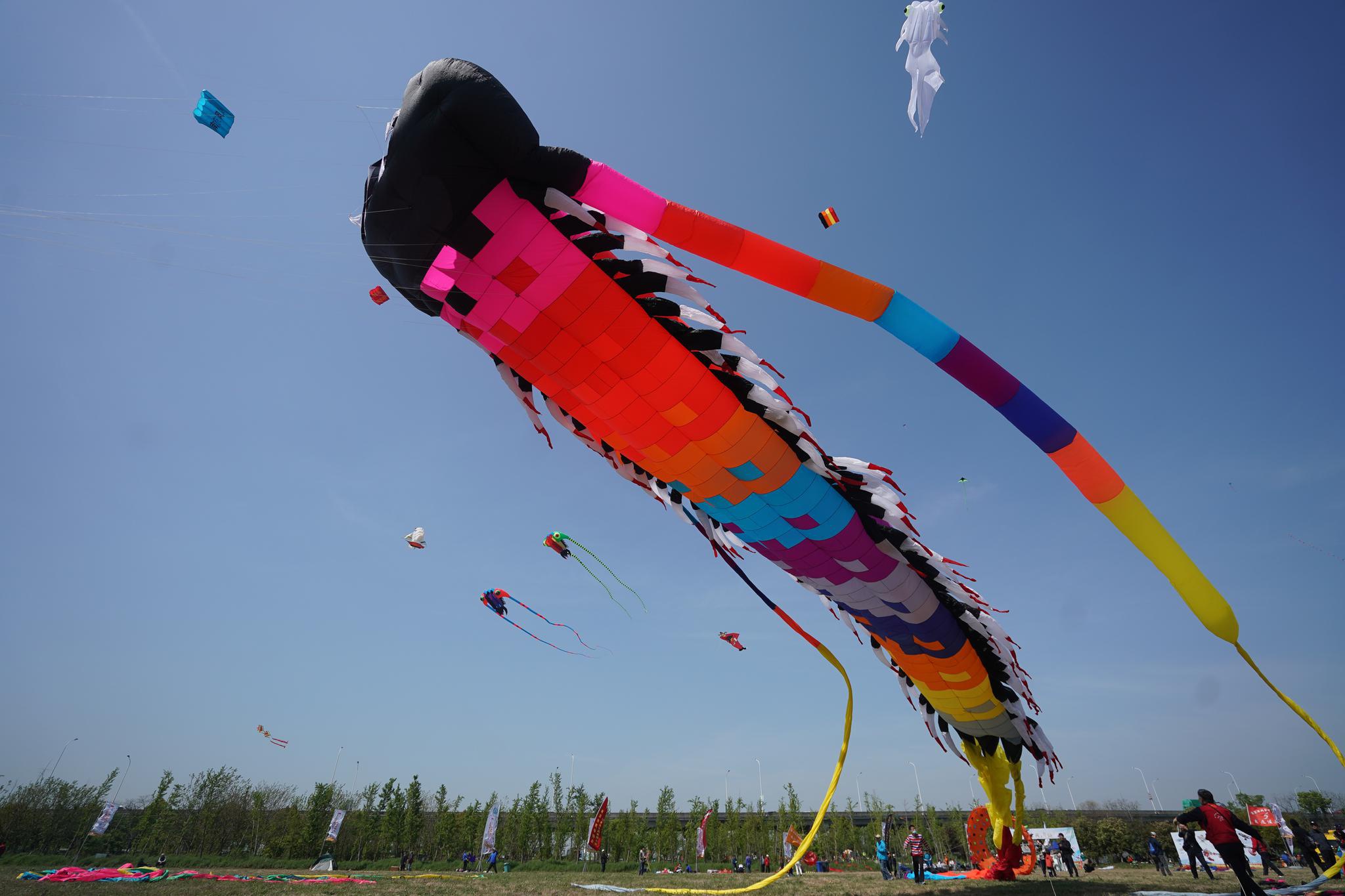 风筝会上好时光|江苏省|南京市_新浪新闻