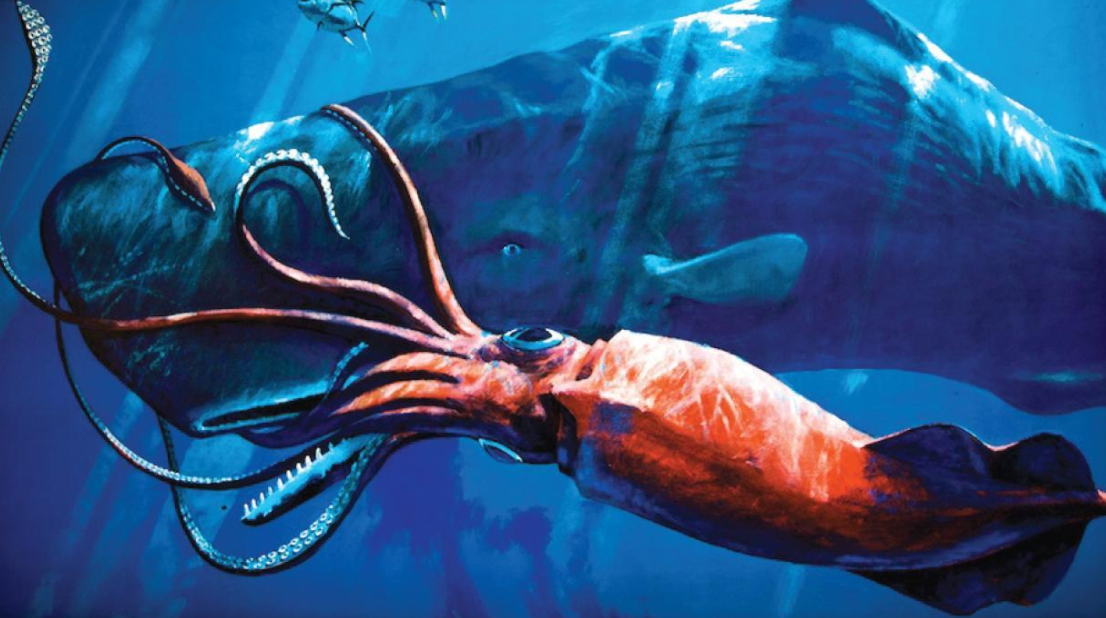 日本近海惊现2只大王乌贼尸体!人们忧心大地震或发生,有关吗?休闲区蓝鸢梦想 - Www.slyday.coM 日本近海惊现2只大王乌贼尸体!人们忧心大地震或发生,有关吗?休闲区蓝鸢梦想 - Www.slyday.coM