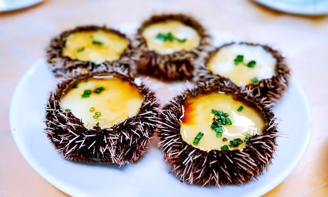 海南|三亚|海胆_新浪新闻