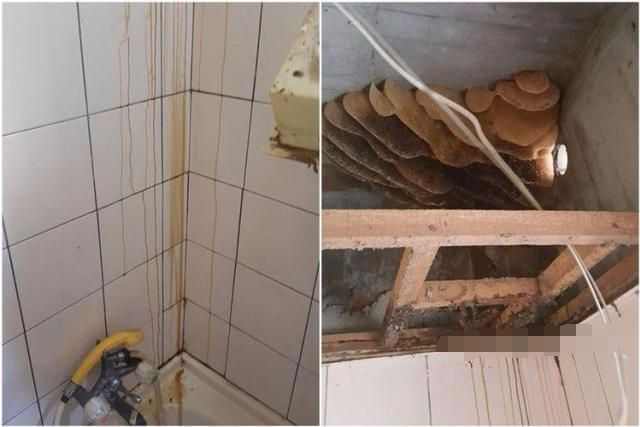 女子在家上厕所听到异响，拆开天花板后直接悲剧了休闲区蓝鸢梦想 - Www.slyday.coM