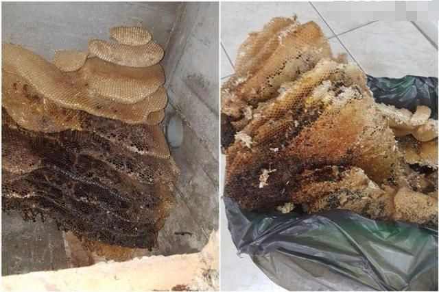 女子在家上厕所听到异响，拆开天花板后直接悲剧了休闲区蓝鸢梦想 - Www.slyday.coM