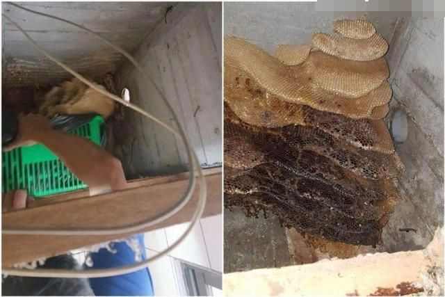 女子在家上厕所听到异响，拆开天花板后直接悲剧了休闲区蓝鸢梦想 - Www.slyday.coM