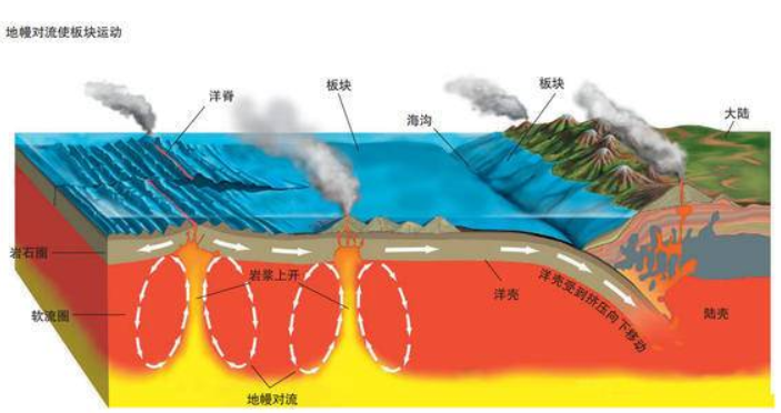 日本近海惊现2只大王乌贼尸体!人们忧心大地震或发生,有关吗?休闲区蓝鸢梦想 - Www.slyday.coM 日本近海惊现2只大王乌贼尸体!人们忧心大地震或发生,有关吗?休闲区蓝鸢梦想 - Www.slyday.coM