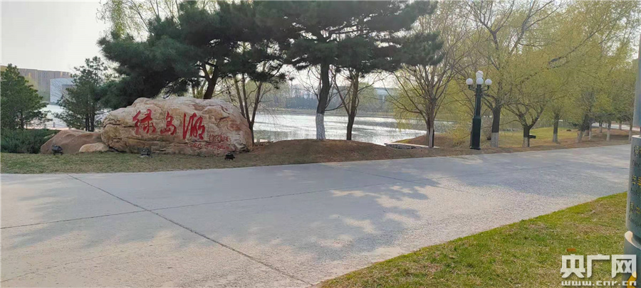 城市学院绿岛湖(央广网发李典泽摄)城市学院白卿宫(央广网发孙吉林子
