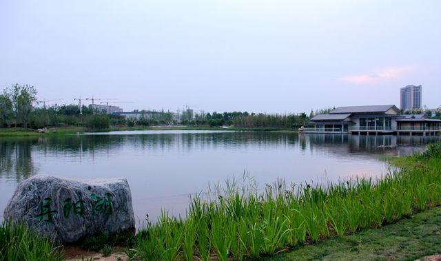 春日的丹阳湖公园游人如织牡丹盛放夺人眼球