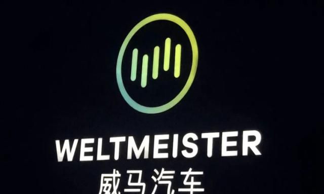 定位尴尬,夹缝求生,威马能靠上市"续命"吗?-新浪汽车